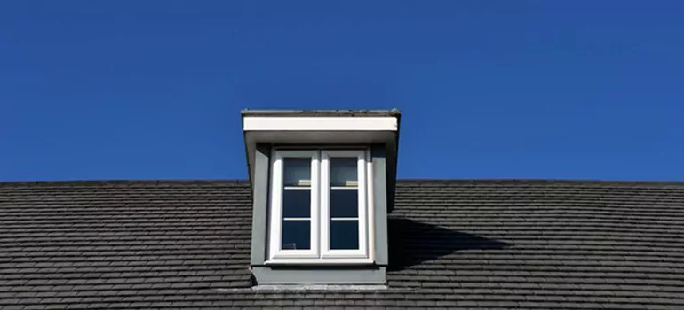 Roof Window Installation in Lake Butler, FL